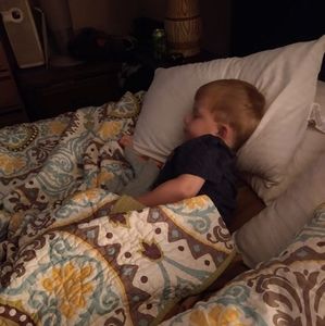 Meet your Posher, Tara